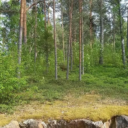 Apartament Saimaan Kodikas